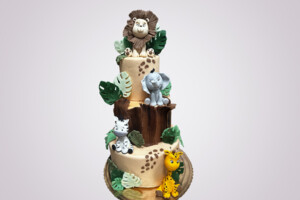 Tort Safari